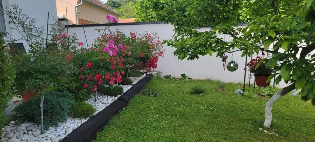 Vila Jovana Vrdnik Eksteriør bilde